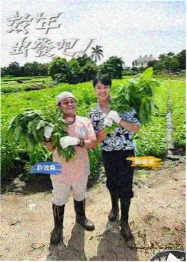 深夜录音棚 音乐综艺在线观看